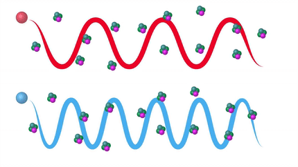 inconsequentialmeanbackswimmer-max-1mb